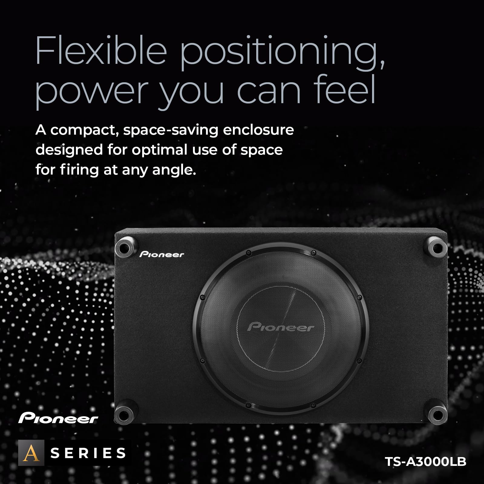 Pioneer TS-A3000LB Gehäuse Subwoofer 30cm 1500W
