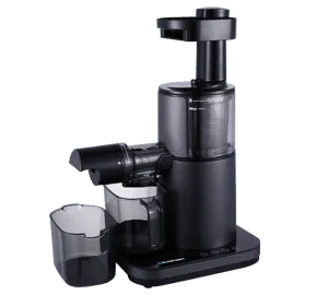 Blaupunkt SJV701 Slow Juicer Entsafter frische Säfte