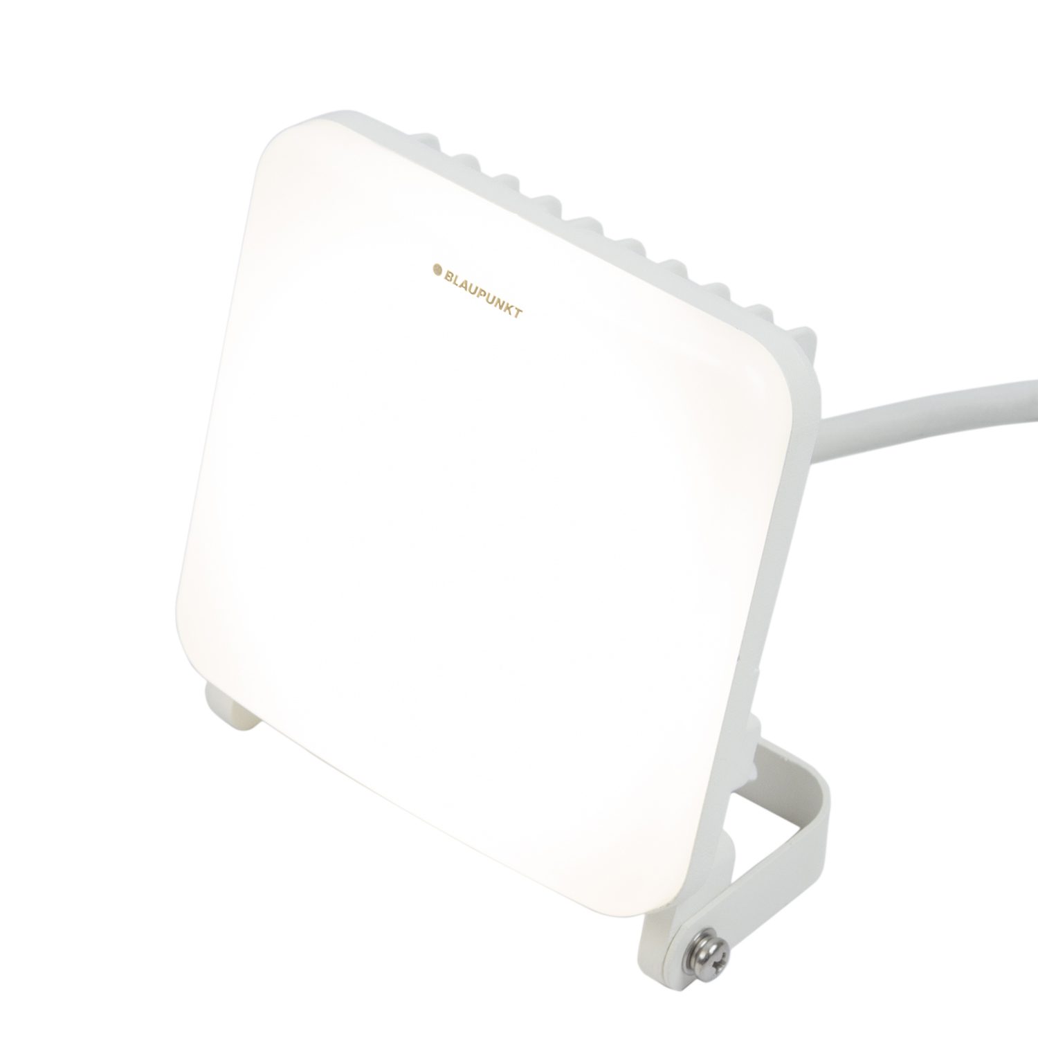 Blaupunkt LED Lighting Floodlight 30W LED-Strahler IP65