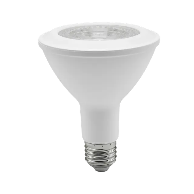 Blaupunkt Neoma Par30 LED 13W Tageslicht Warmweiß