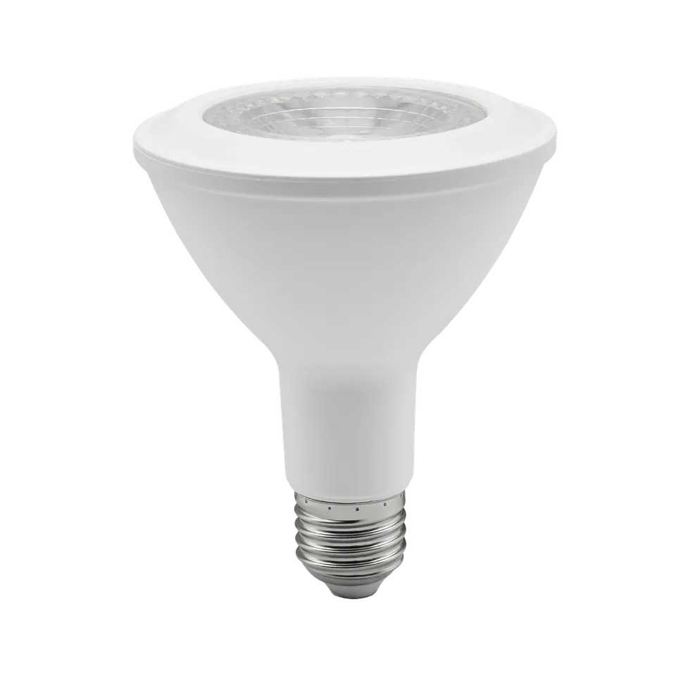 Blaupunkt Neoma Par30 LED 13W Tageslicht Warmweiß