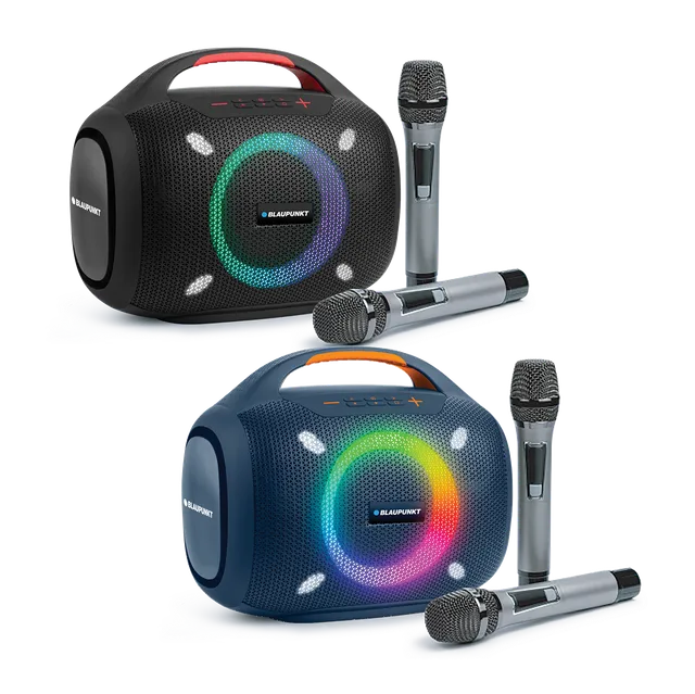 Blaupunkt Orion Bluetooth Lautsprecher mit Mikrofon HiFi