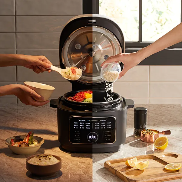 Blaupunkt BP-FB02 Elektro Druckkochtopf 2 in 1