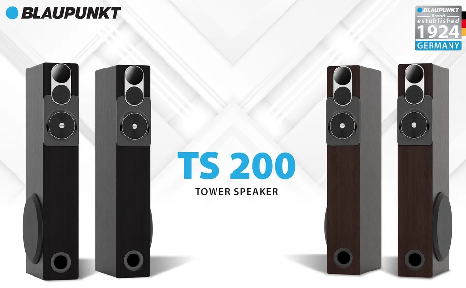 Blaupunkt TS200 Lautsprecher Schwarz 200 W Party