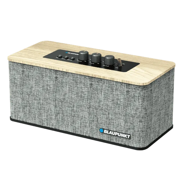 Blaupunkt Bluetooth Lautsprecher Wireless 7h