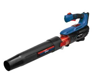 Blaupunkt CB4010 18 V Akku-Laubbläser für Garten