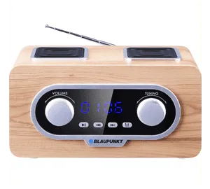Blaupunkt PP5.2CR Tragbares Radio FM USB AUX MP3