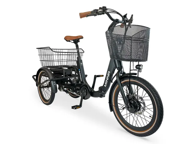Blaupunkt Minna E-Lastenrad faltbar Frontmotor